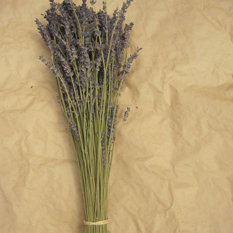 Dried Lavender Bunch Dried Lavender Bunch