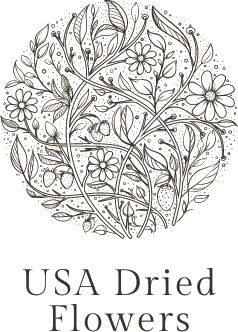 USA Dried Flowers