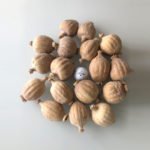 Dried Poppy Pods Shipped From The USA!
